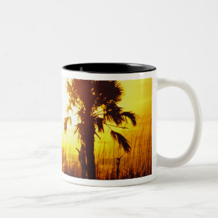 N.A., USA, South Carolina, Charleston. Sunset Two-Tone Coffee Mug