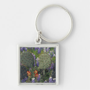 N.A., USA, Texas, Cactus surrounded by Key Ring