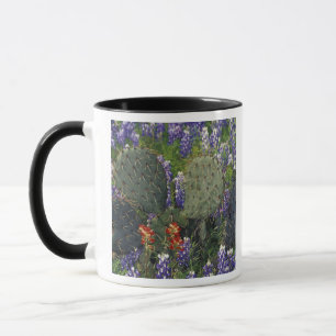 N.A., USA, Texas, Cactus surrounded by Mug