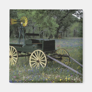 N.A., USA, Texas, Devine, Old wagon and Magnet
