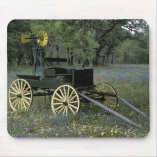 N.A., USA, Texas, Devine, Old wagon and Mouse Mat