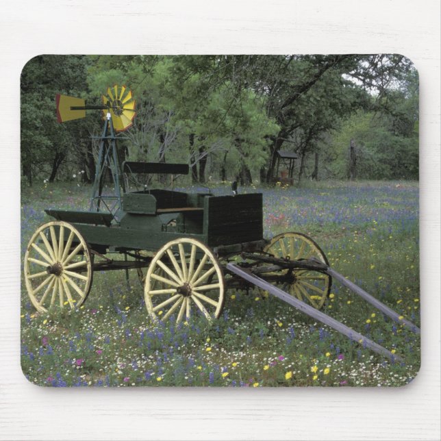 N.A., USA, Texas, Devine, Old wagon and Mouse Mat (Front)