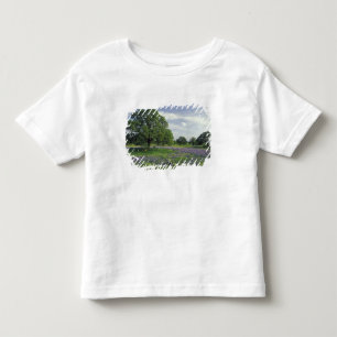 N.A, USA, Texas, Lake Buchanan, Oaks and Blue Toddler T-Shirt