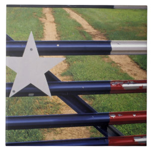 N.A., USA, Texas, Lake Buchanan, Texas flag Tile
