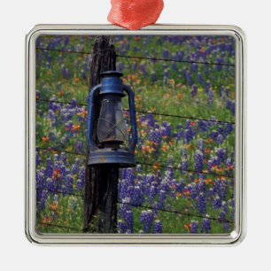 N.A., USA, Texas, Llano, Blue Lantern and Metal Tree Decoration