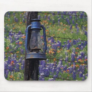 N.A., USA, Texas, Llano, Blue Lantern and Mouse Mat