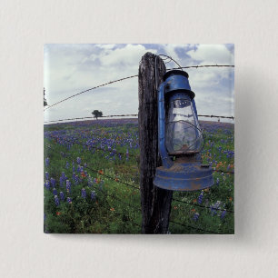 N.A., USA, Texas, Llano, Blue Lantern, Oak tree 15 Cm Square Badge