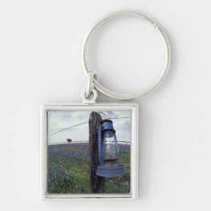 N.A., USA, Texas, Llano, Blue Lantern, Oak tree Key Ring