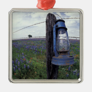 N.A., USA, Texas, Llano, Blue Lantern, Oak tree Metal Tree Decoration
