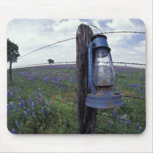 N.A., USA, Texas, Llano, Blue Lantern, Oak tree Mouse Mat