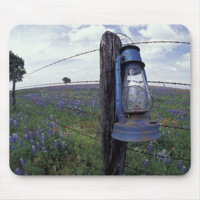 N.A., USA, Texas, Llano, Blue Lantern, Oak tree Mouse Mat (Front)