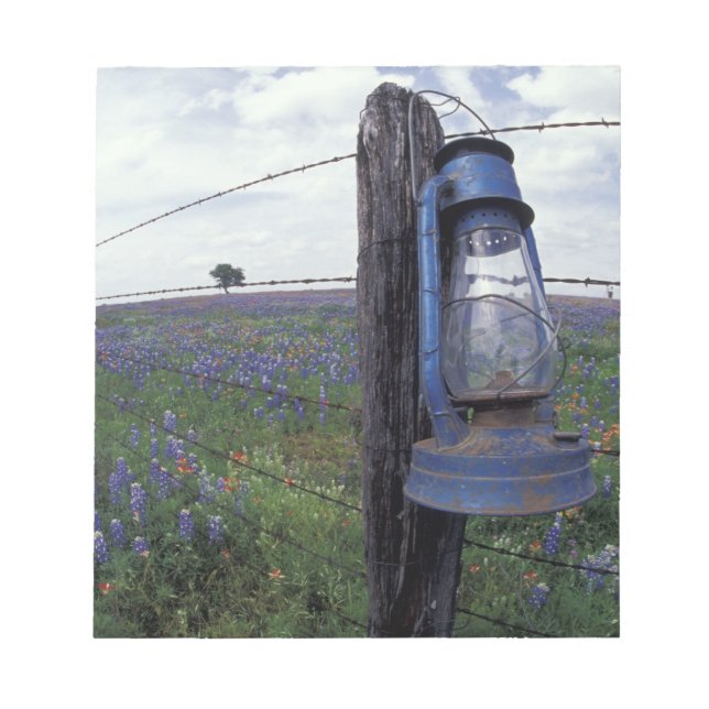 N.A., USA, Texas, Llano, Blue Lantern, Oak tree Notepad (Front)