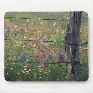 N.A, USA, Texas, Lytle, Fence post and Mouse Mat
