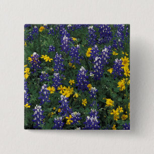 N.A, USA, Texas, Marble Falls, Blue Bonnets 15 Cm Square Badge