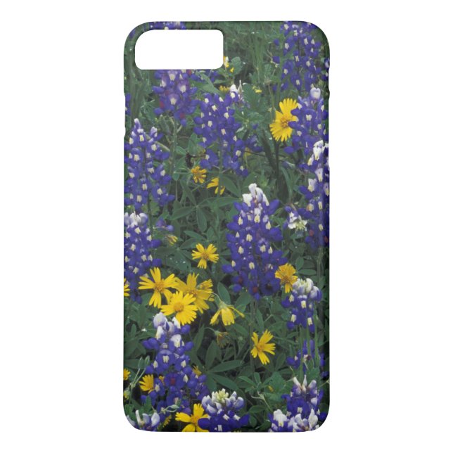 N.A, USA, Texas, Marble Falls, Blue Bonnets Case-Mate iPhone Case (Back)