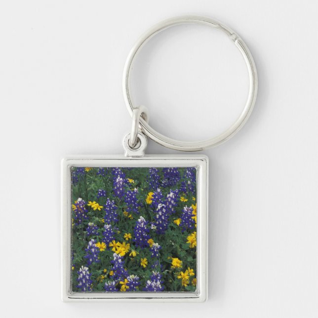 N.A, USA, Texas, Marble Falls, Blue Bonnets Key Ring (Front)