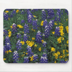 N.A, USA, Texas, Marble Falls, Blue Bonnets Mouse Mat