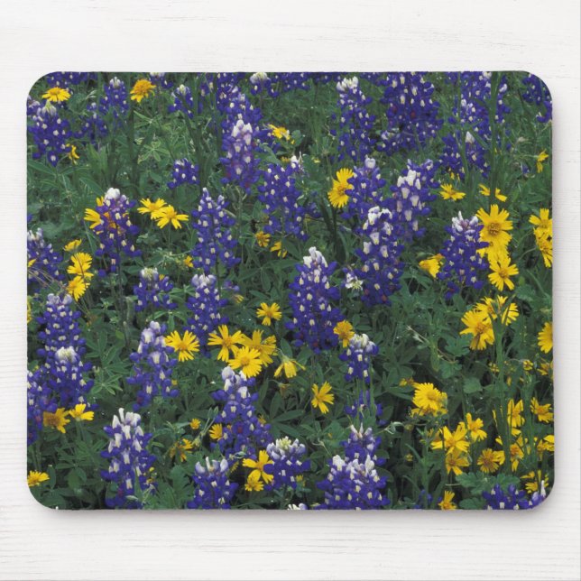 N.A, USA, Texas, Marble Falls, Blue Bonnets Mouse Mat (Front)