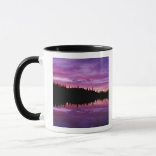 N.A., USA, Washington, Mt. Rainier National 2 Mug