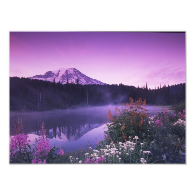 N.A., USA, Washington, Mt. Rainier National 2 Photo Print (Front)