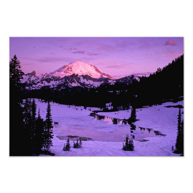 N.A., USA, Washington, Mt. Rainier National 2 Photo Print (Front)