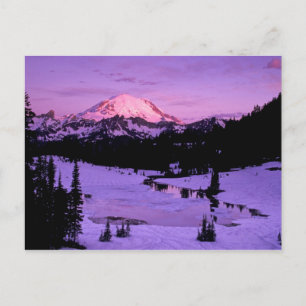 N.A., USA, Washington, Mt. Rainier National 3 Postcard
