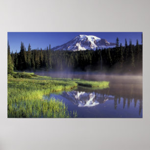 N.A., USA, Washington, Mt. Rainier National 5 Poster