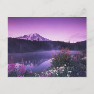 N.A., USA, Washington, Mt. Rainier National Postcard