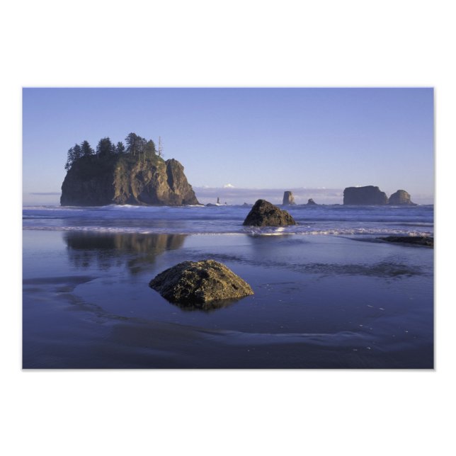 N.A., USA, Washington, Olympic National Park, 2 Photo Print (Front)