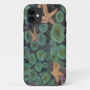N.A., USA, Washington, Olympic National Park iPhone 11 Case