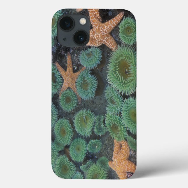 N.A., USA, Washington, Olympic National Park Case-Mate iPhone Case (Back)
