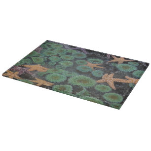 N.A., USA, Washington, Olympic National Park Cutting Board