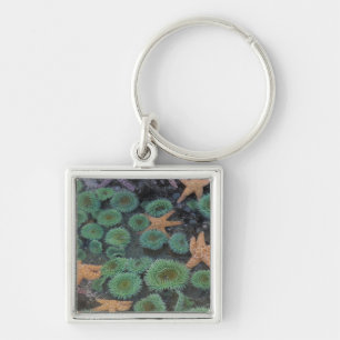 N.A., USA, Washington, Olympic National Park Key Ring