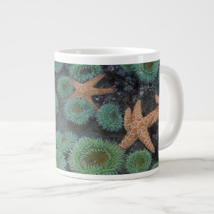 N.A., USA, Washington, Olympic National Park Large Coffee Mug