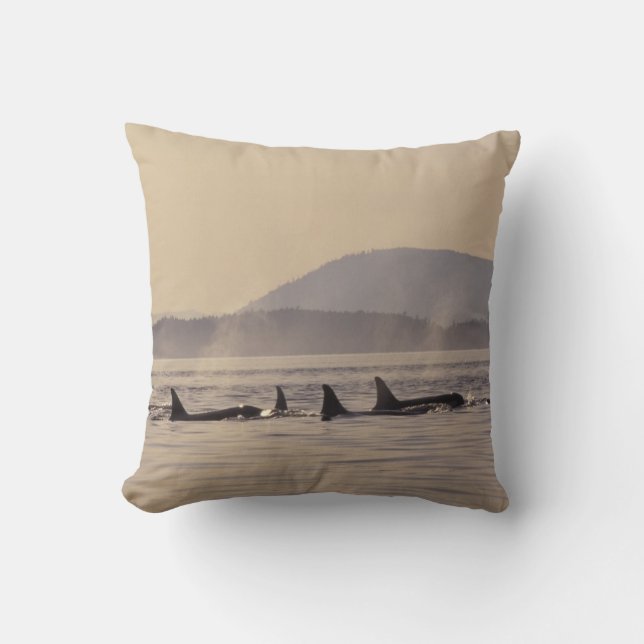 N.A., USA, Washington, San Juan Islands Orca Cushion (Front)