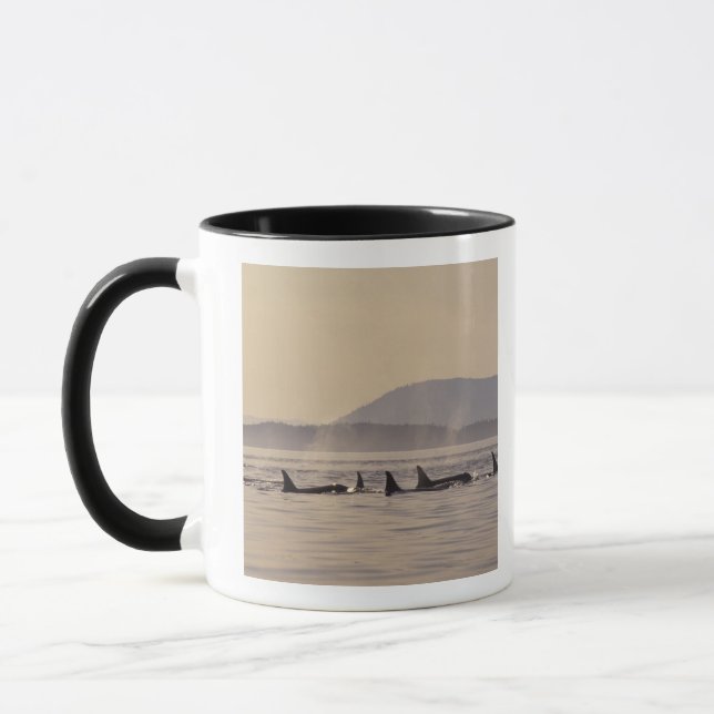 N.A., USA, Washington, San Juan Islands Orca Mug (Left)