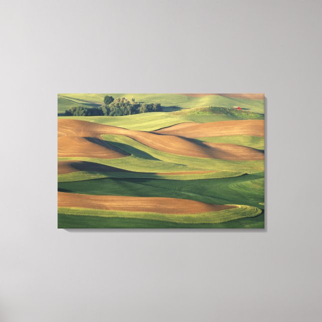 N.A., USA, Washington, Whitman County. Canvas Print (Front)
