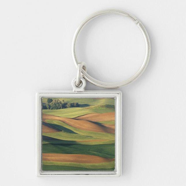 N.A., USA, Washington, Whitman County. Key Ring (Front)
