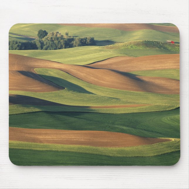 N.A., USA, Washington, Whitman County. Mouse Mat (Front)