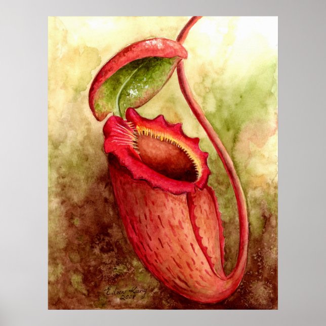 N Rajah Watercolor Art Poster (Front)