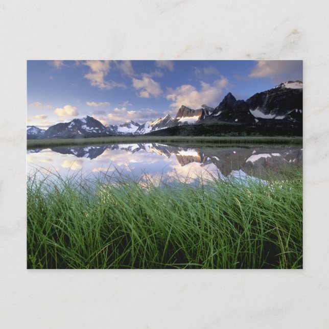 NA, Canada, Alberta, Tonquin Valley. Jasper Postcard (Front)