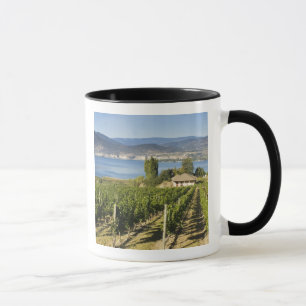 NA; Canada; British Columbia; Okanagan Valley; Mug