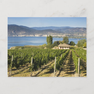 NA; Canada; British Columbia; Okanagan Valley; Postcard