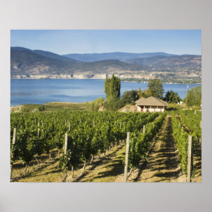 NA; Canada; British Columbia; Okanagan Valley; Poster