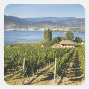 NA; Canada; British Columbia; Okanagan Valley; Square Sticker