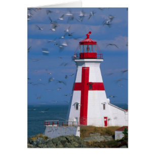 NA, Canada, New Brunswick, Campobello Island. 8