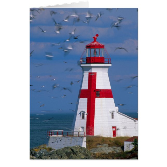 NA, Canada, New Brunswick, Campobello Island. 8 (Front)