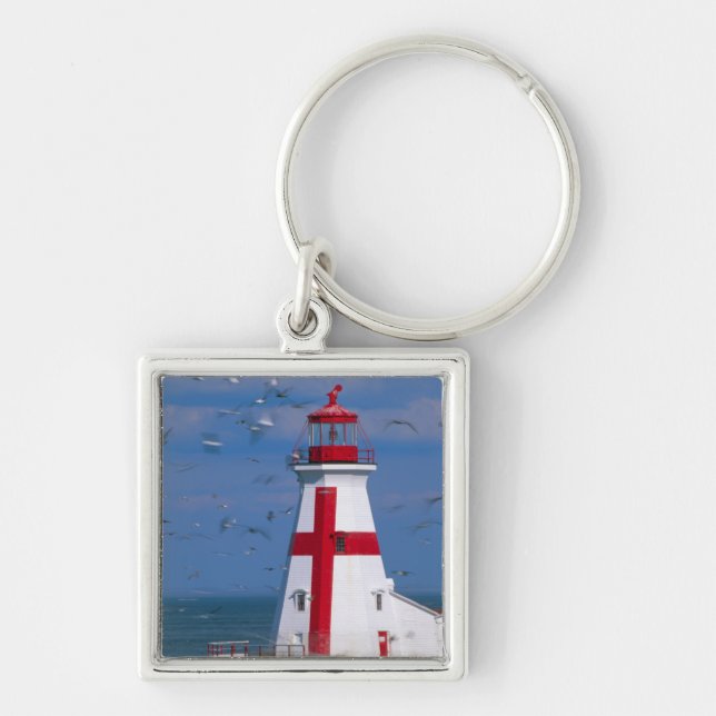 NA, Canada, New Brunswick, Campobello Island. 8 Key Ring (Front)