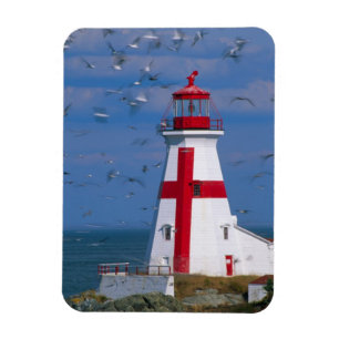 NA, Canada, New Brunswick, Campobello Island. 8 Magnet