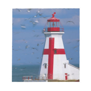 NA, Canada, New Brunswick, Campobello Island. 8 Notepad